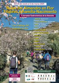 Noticia
